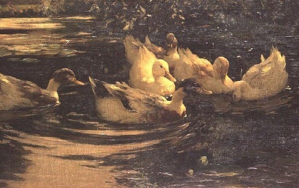 Canards sur un étang - Alexander Koester