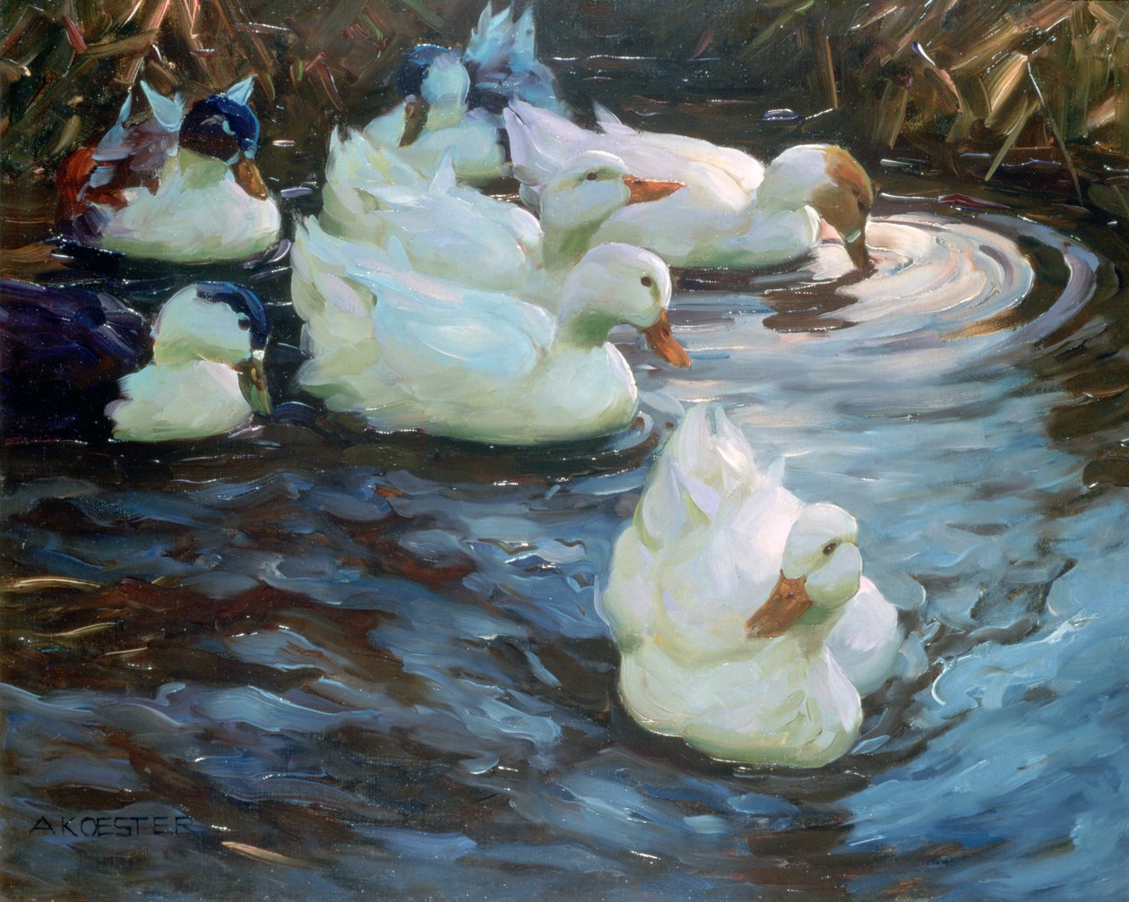 Canards sur un étang, vers 1884-1932 - Alexander Koester