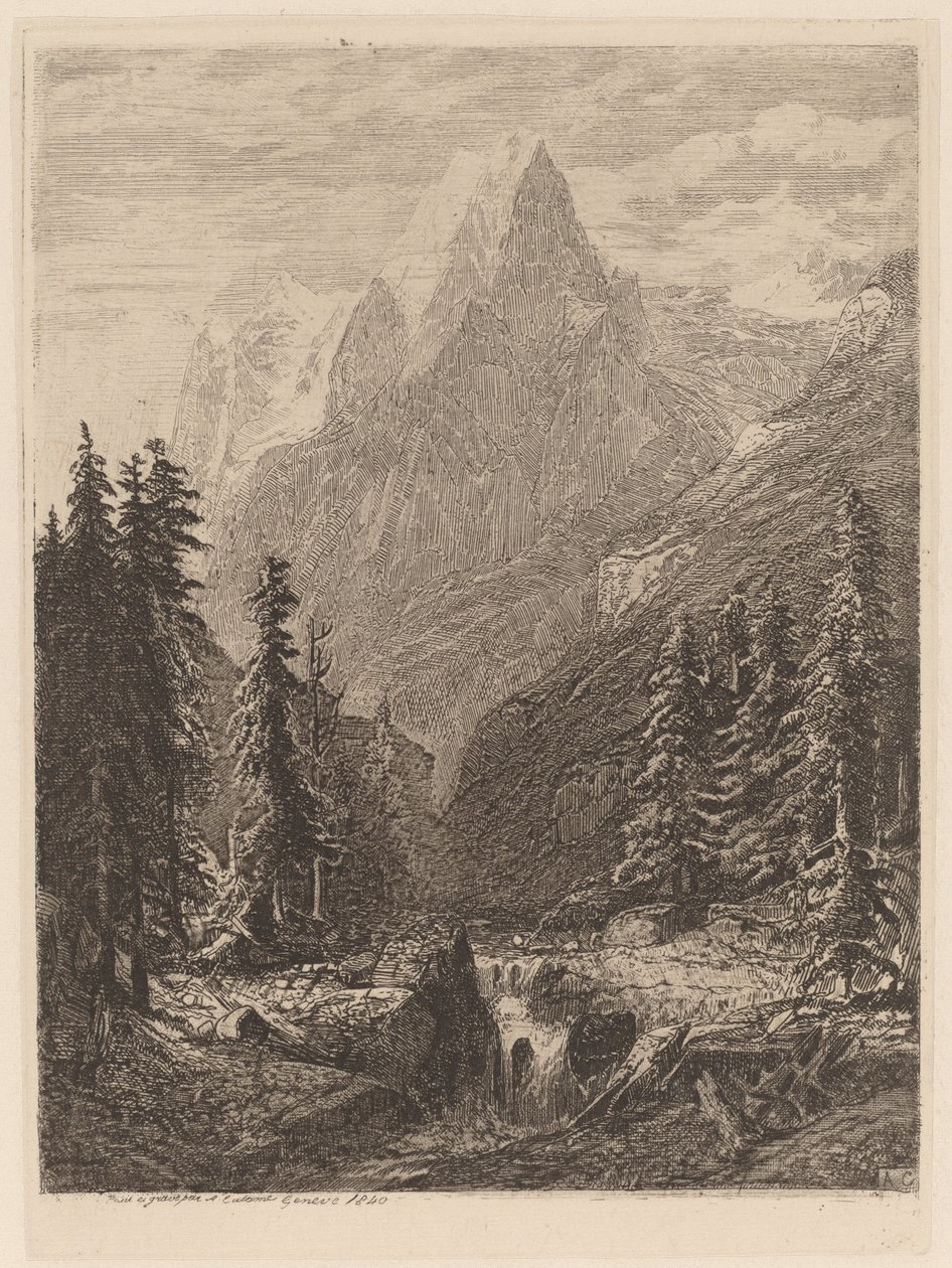 Prairie de montagne - Alexandre Calame