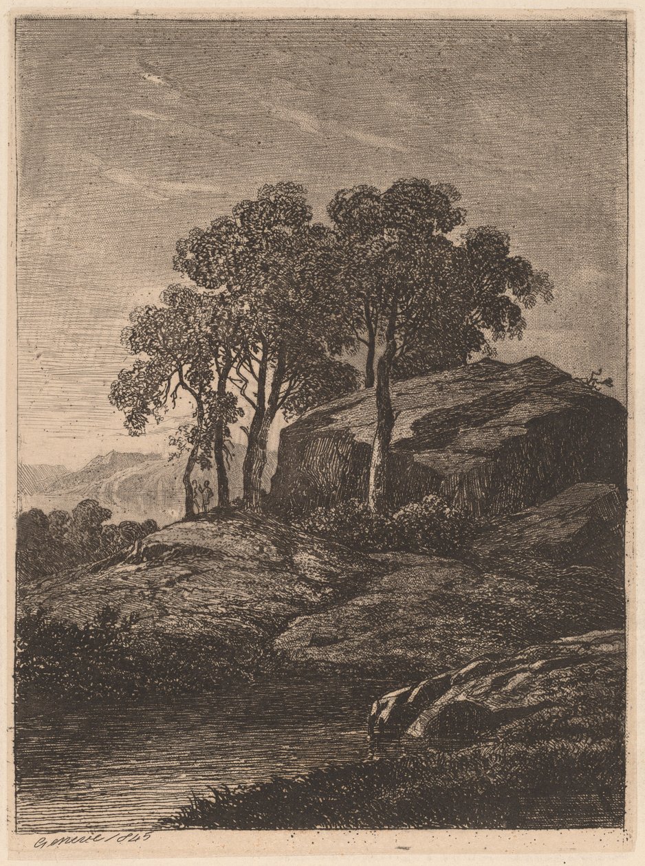 Arbres près d