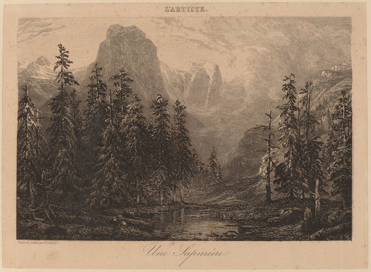 Une Sapinière - Alexandre Calame