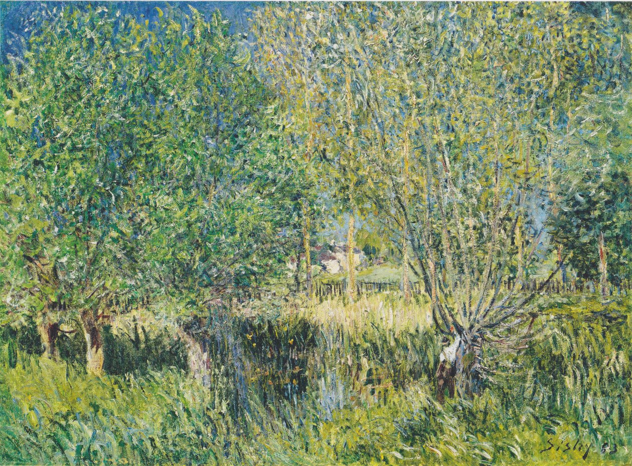 Saules au bord de l