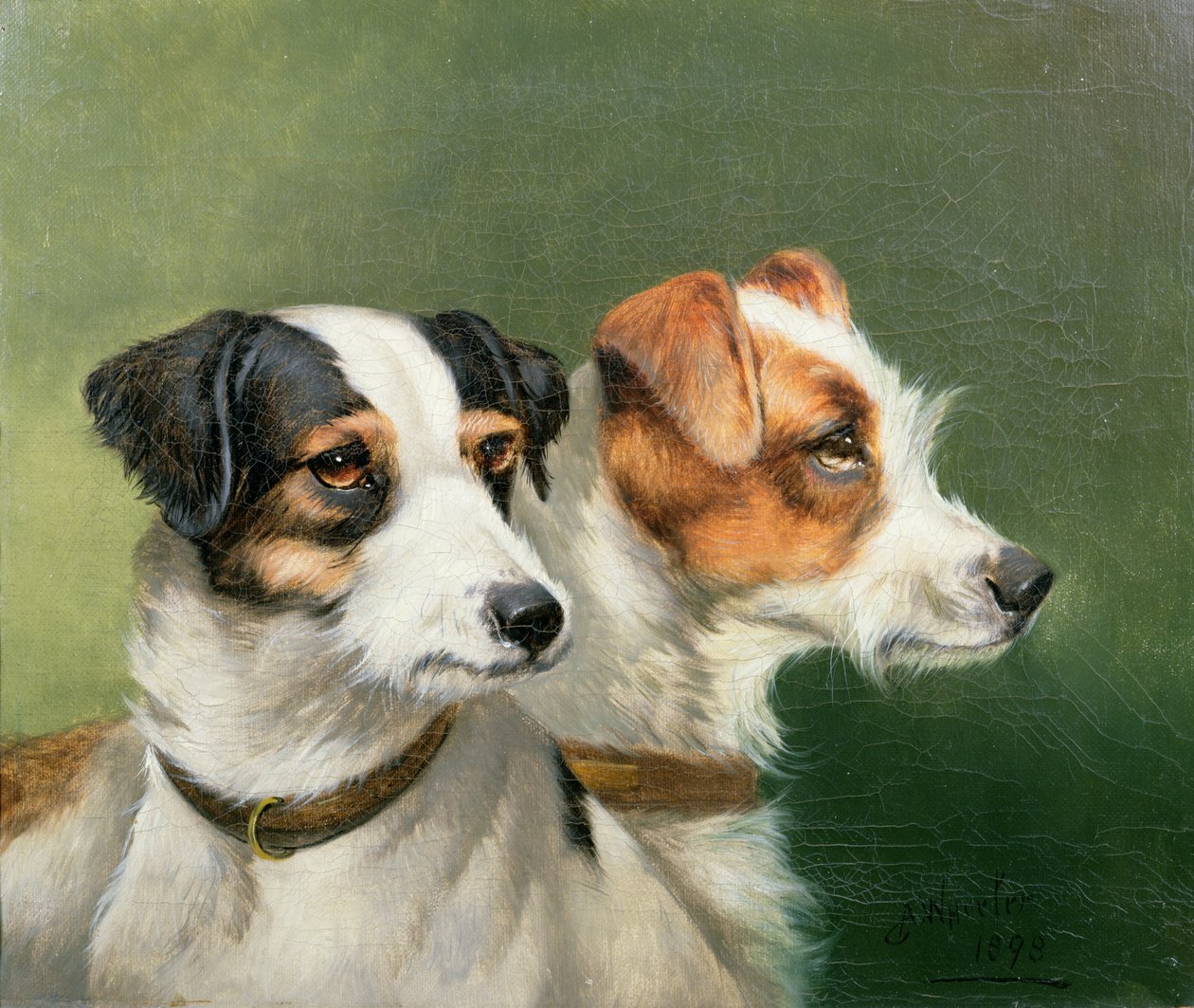Deux fox-terriers, 1898 - John Alfred Wheeler