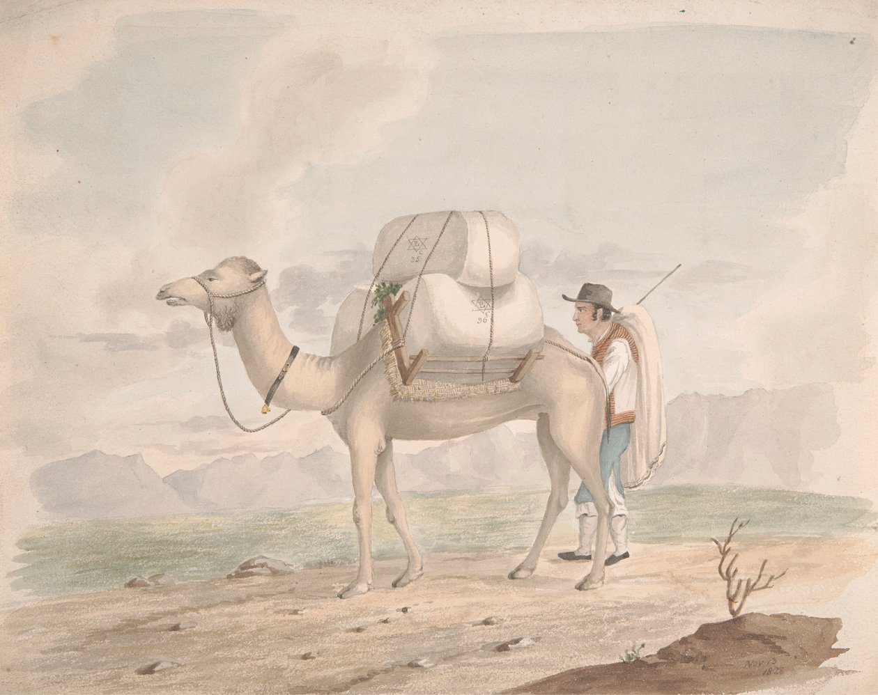 Chameau chargé - Alfred Diston