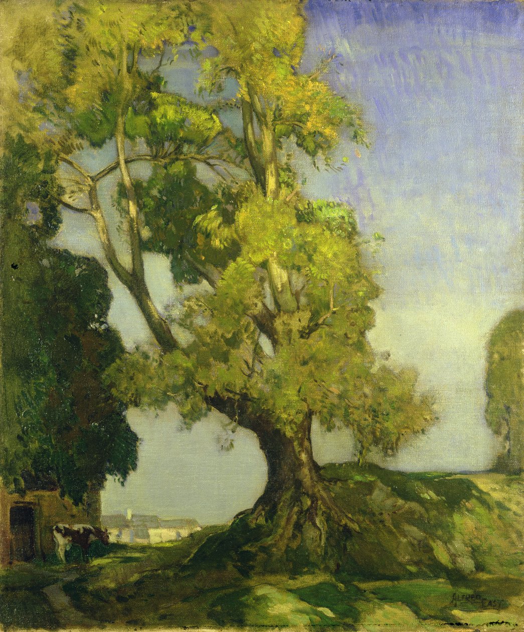Paysage d