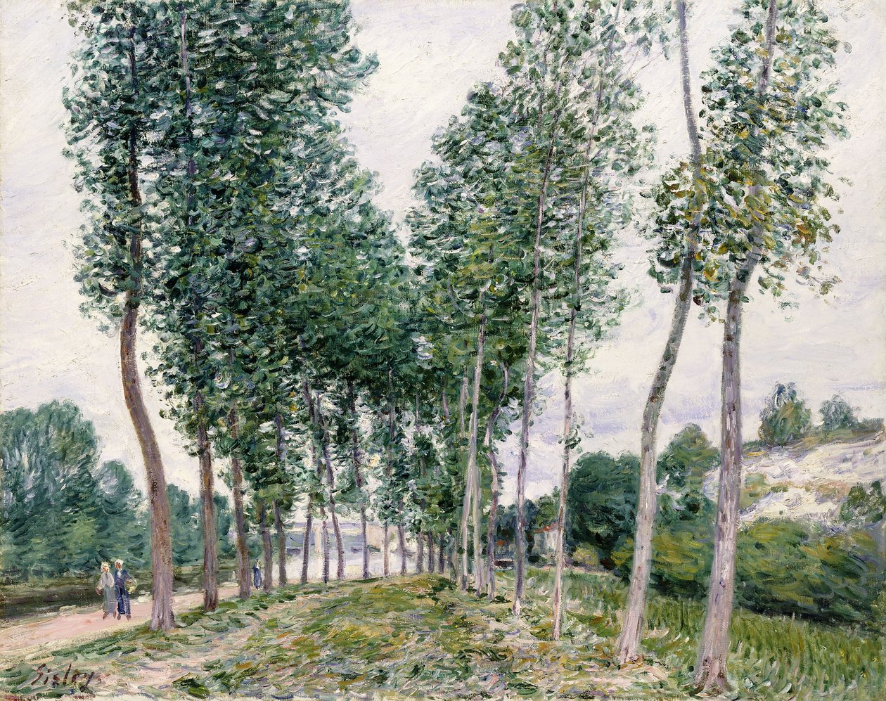 Allée de peupliers le long du Loing - Alfred Sisley