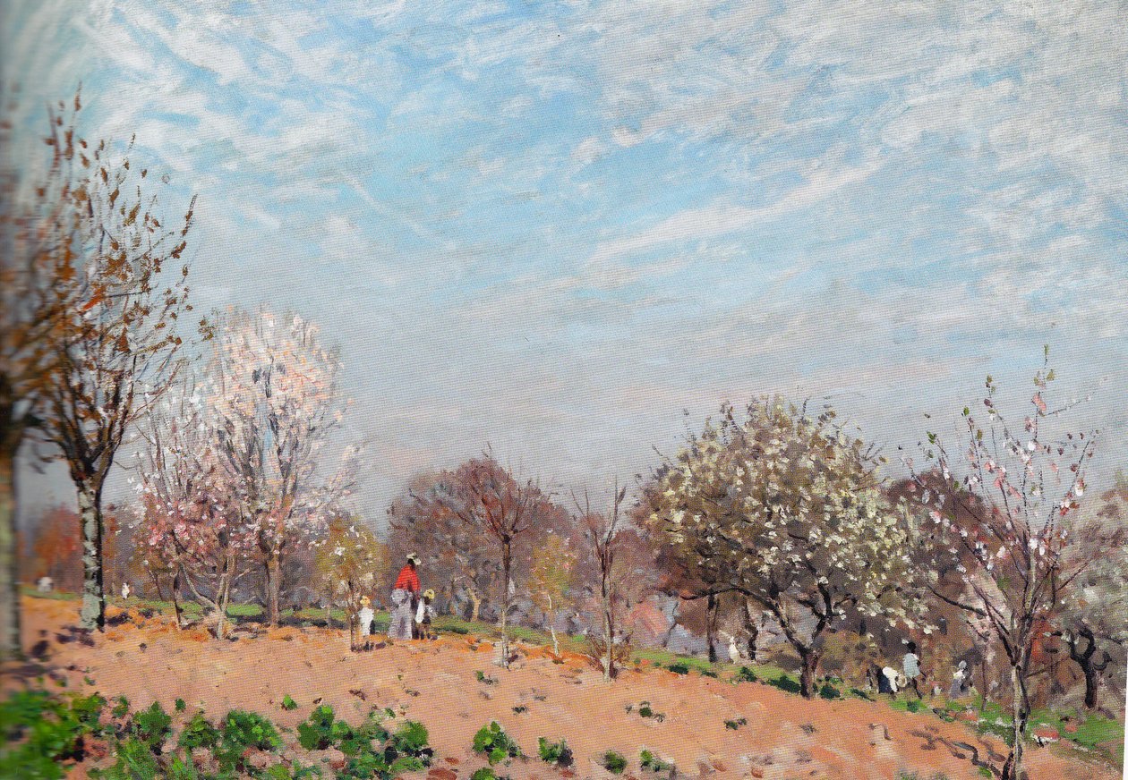 Pommiers en fleurs à Louveciennes - Alfred Sisley