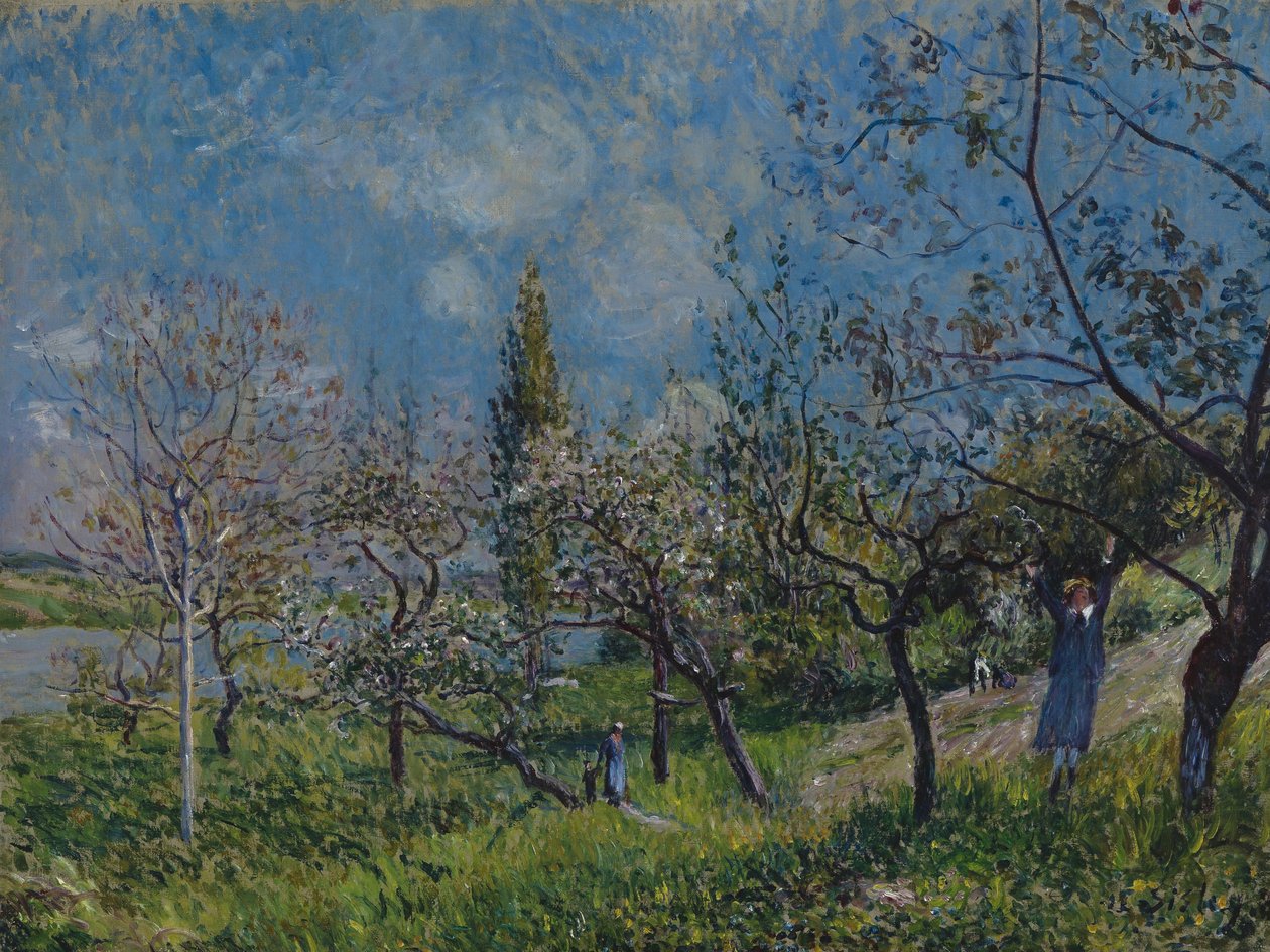 Le verger au printemps - Alfred Sisley