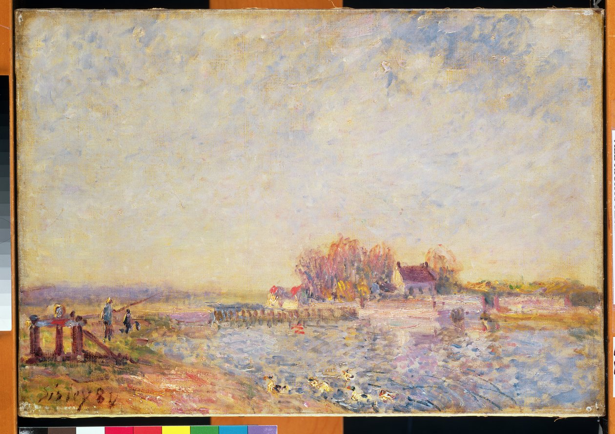 Scène de rivière avec canards, 1881 - Alfred Sisley