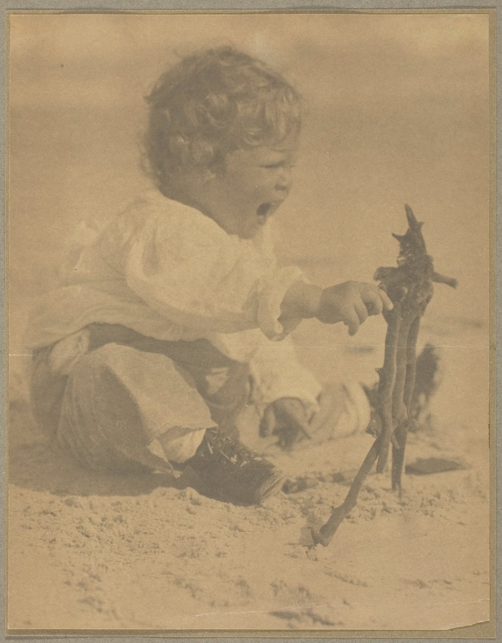 Aileen Flannery - Alfred Stieglitz