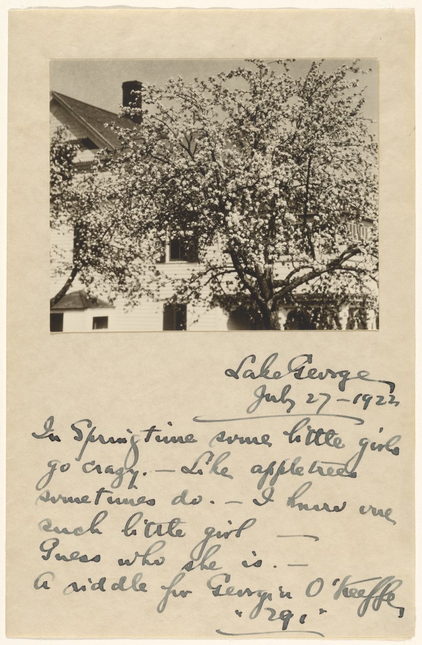 [Fleurs de pommier] - Alfred Stieglitz