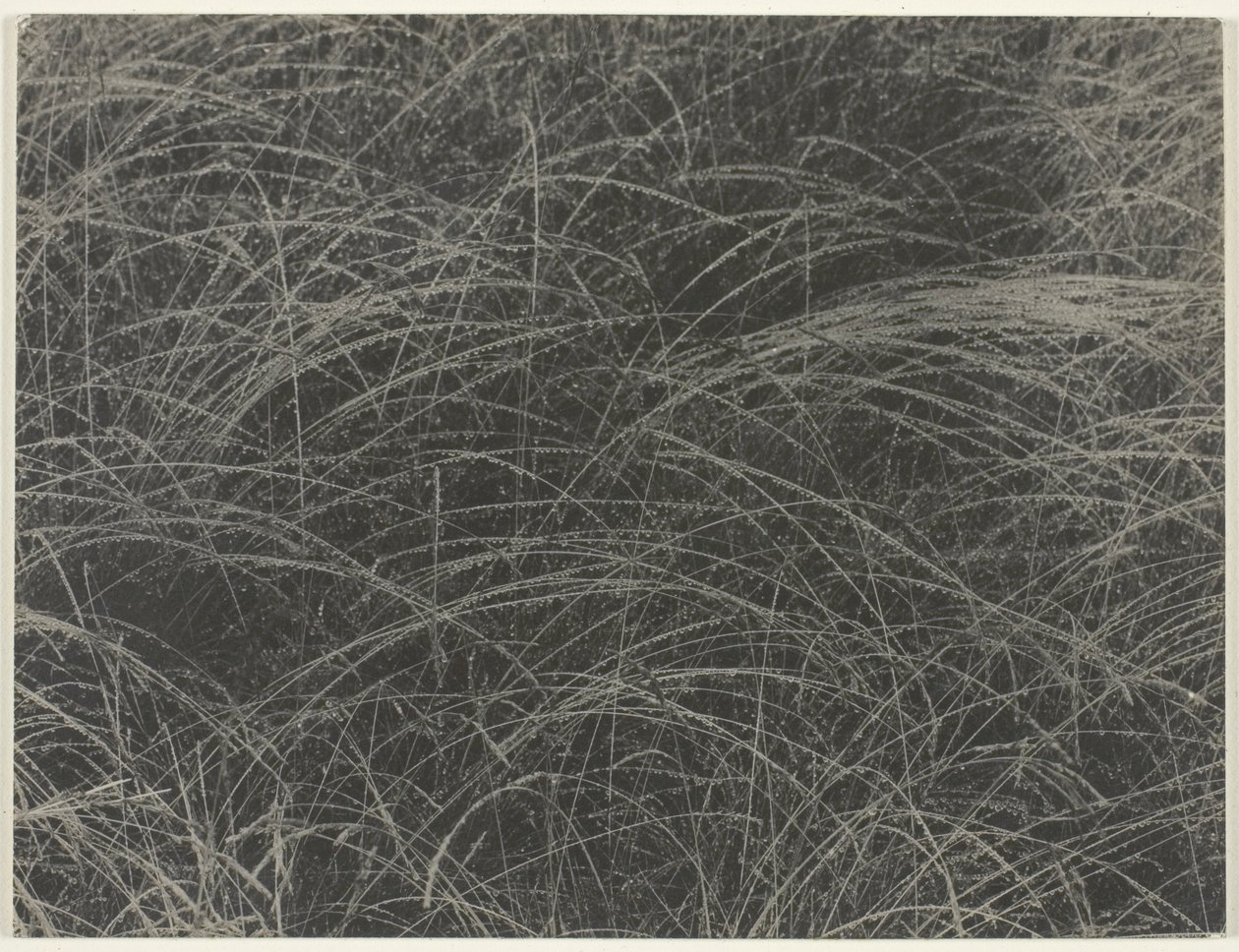 Équivalent - Alfred Stieglitz