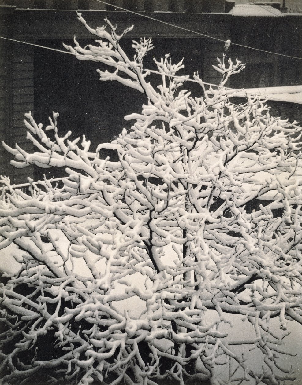 Vue de la fenêtre - 291 - N.Y. - Alfred Stieglitz