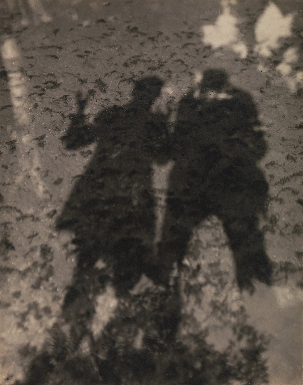 Ombres dans le lac - Alfred Stieglitz