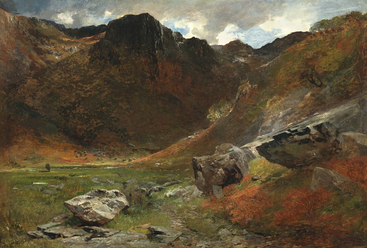 Un vallon marécageux de la nature - Alfred William Hunt