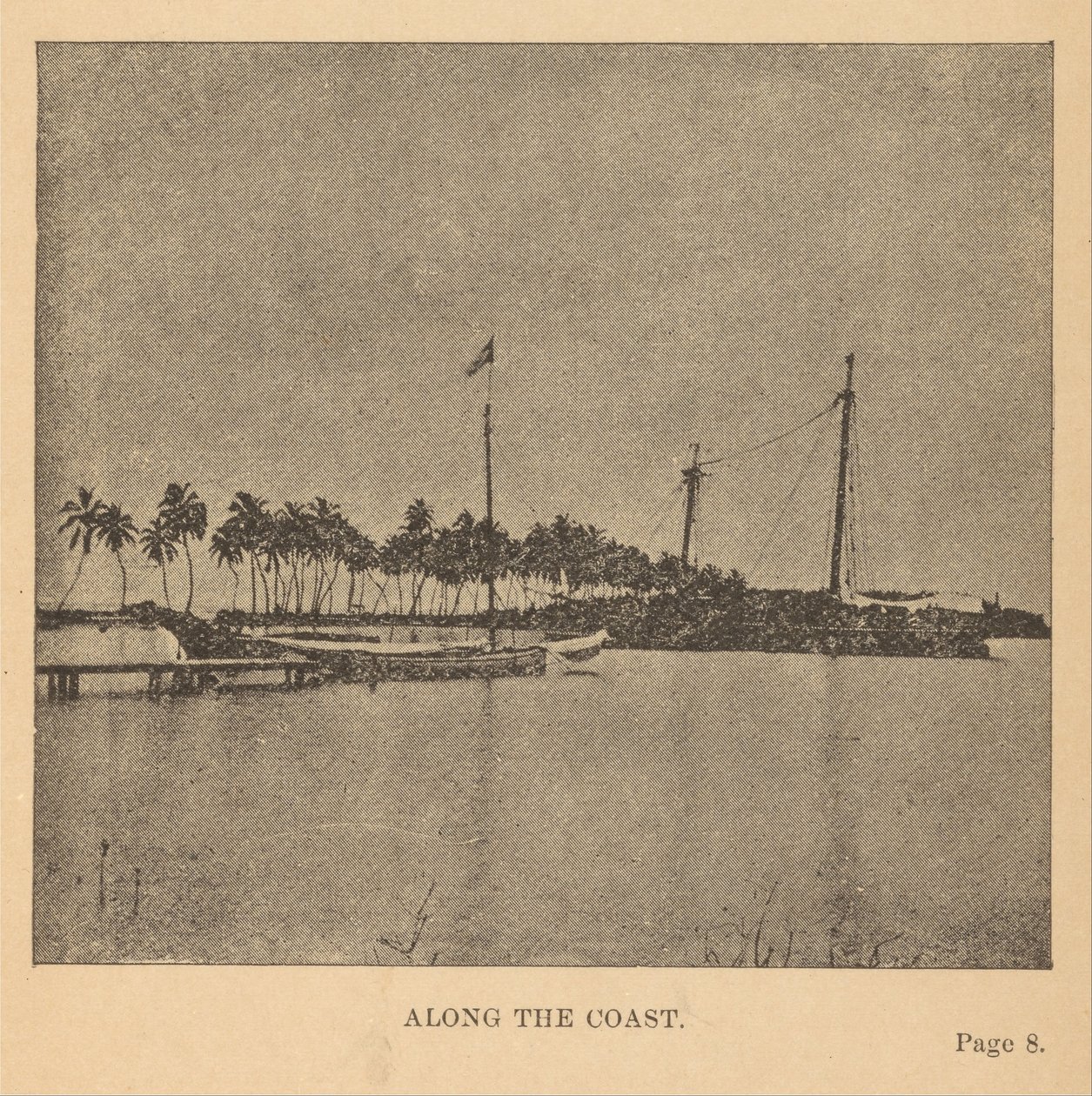 Le long de la côte - Alice D. Le Plongeon