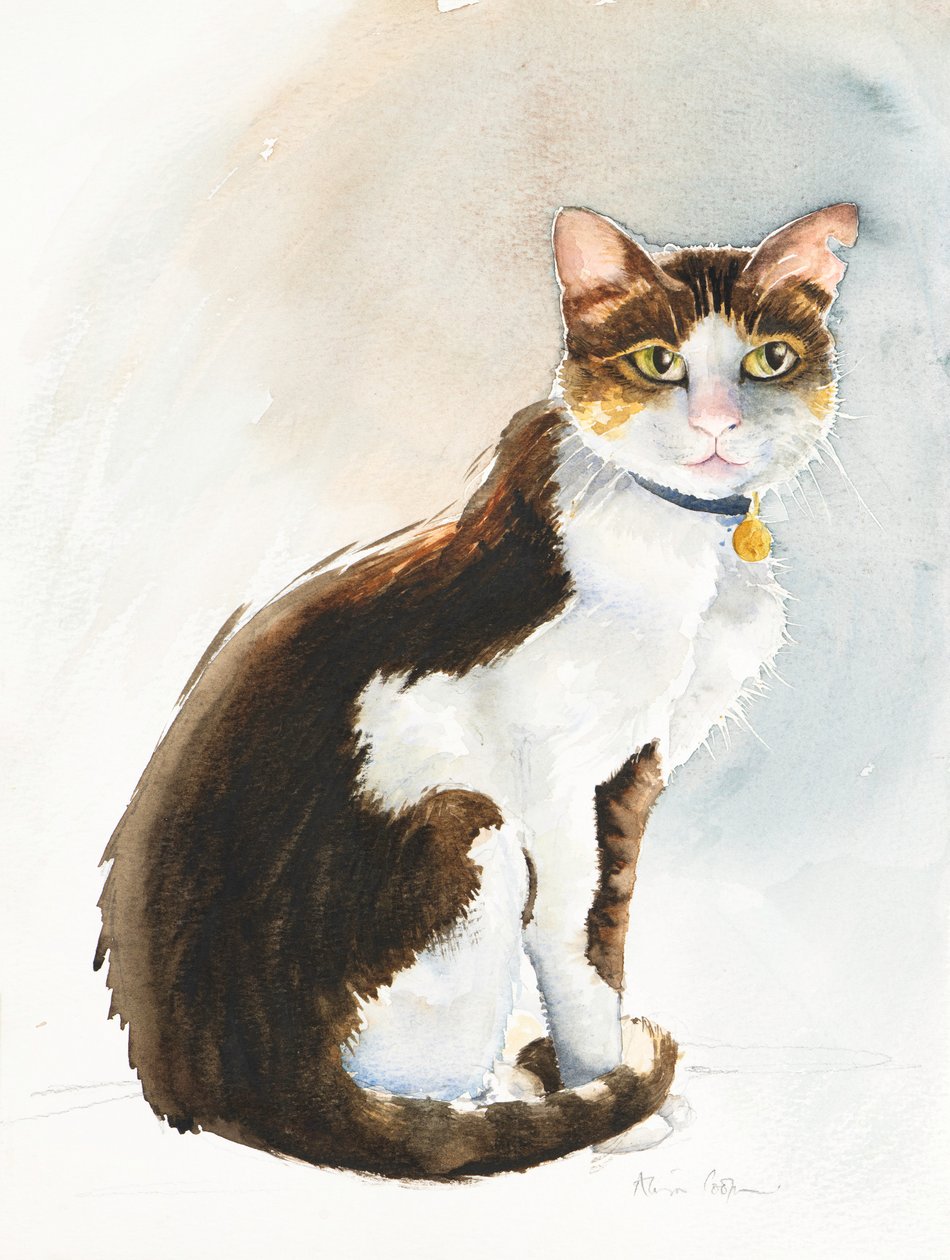 Dave le chat saoudien, 2019 - Alison Cooper