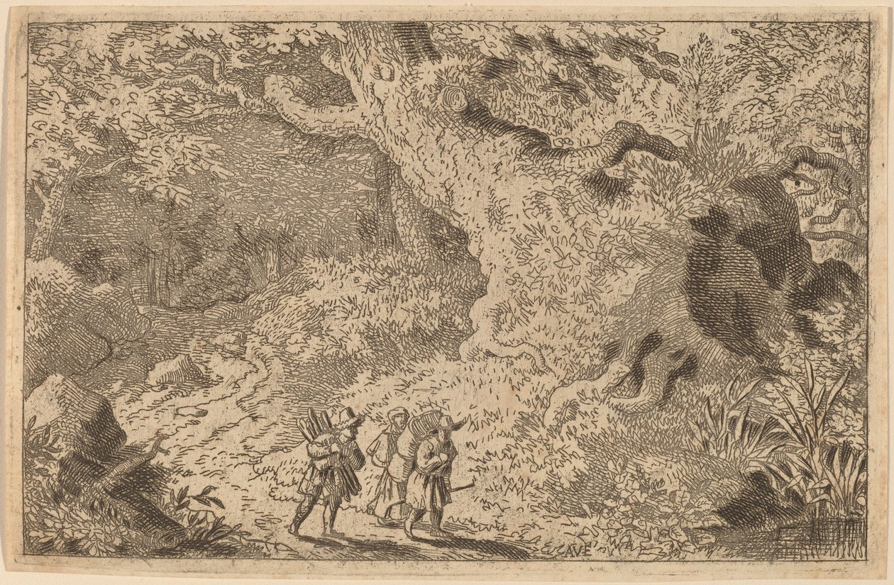 Une forêt dense - Allart van Everdingen