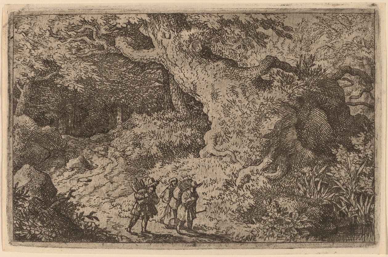 Une Forêt Épaisse - Allart van Everdingen