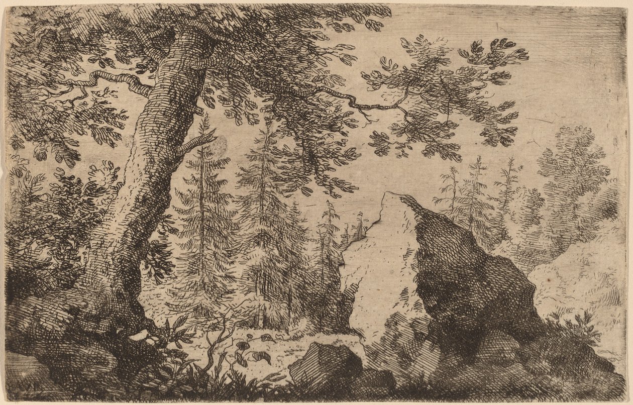 Rocher dans les bois - Allart van Everdingen