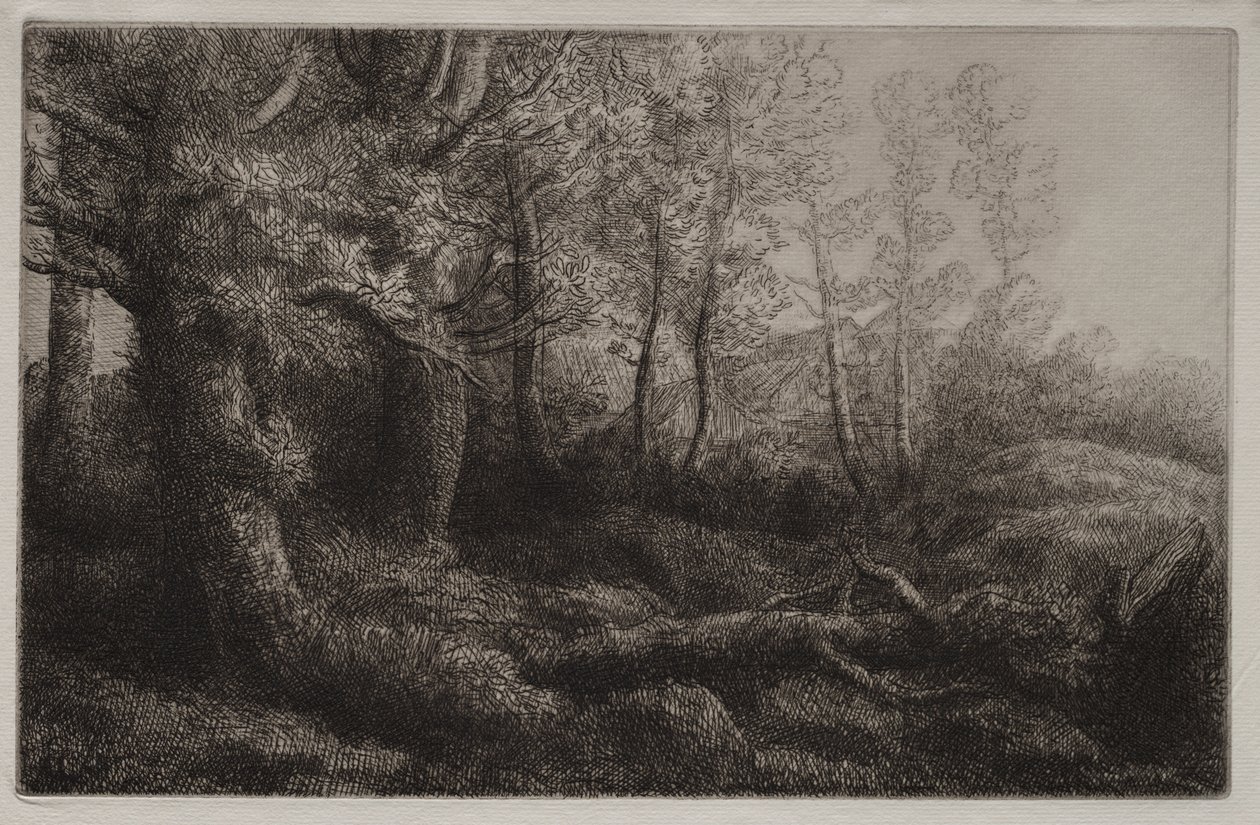 Étude de forêt - Alphonse Legros