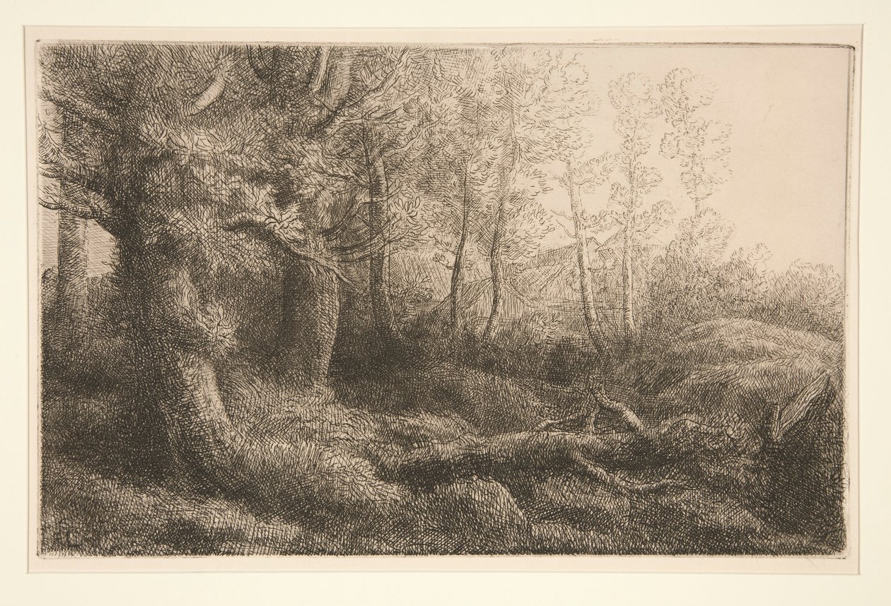 Étude de forêt - Alphonse Legros