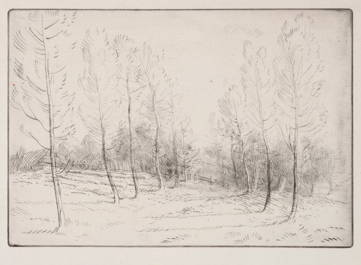 Avenue de peupliers - Alphonse Legros