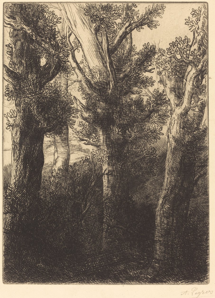 Forêt allemande, Downley - Alphonse Legros