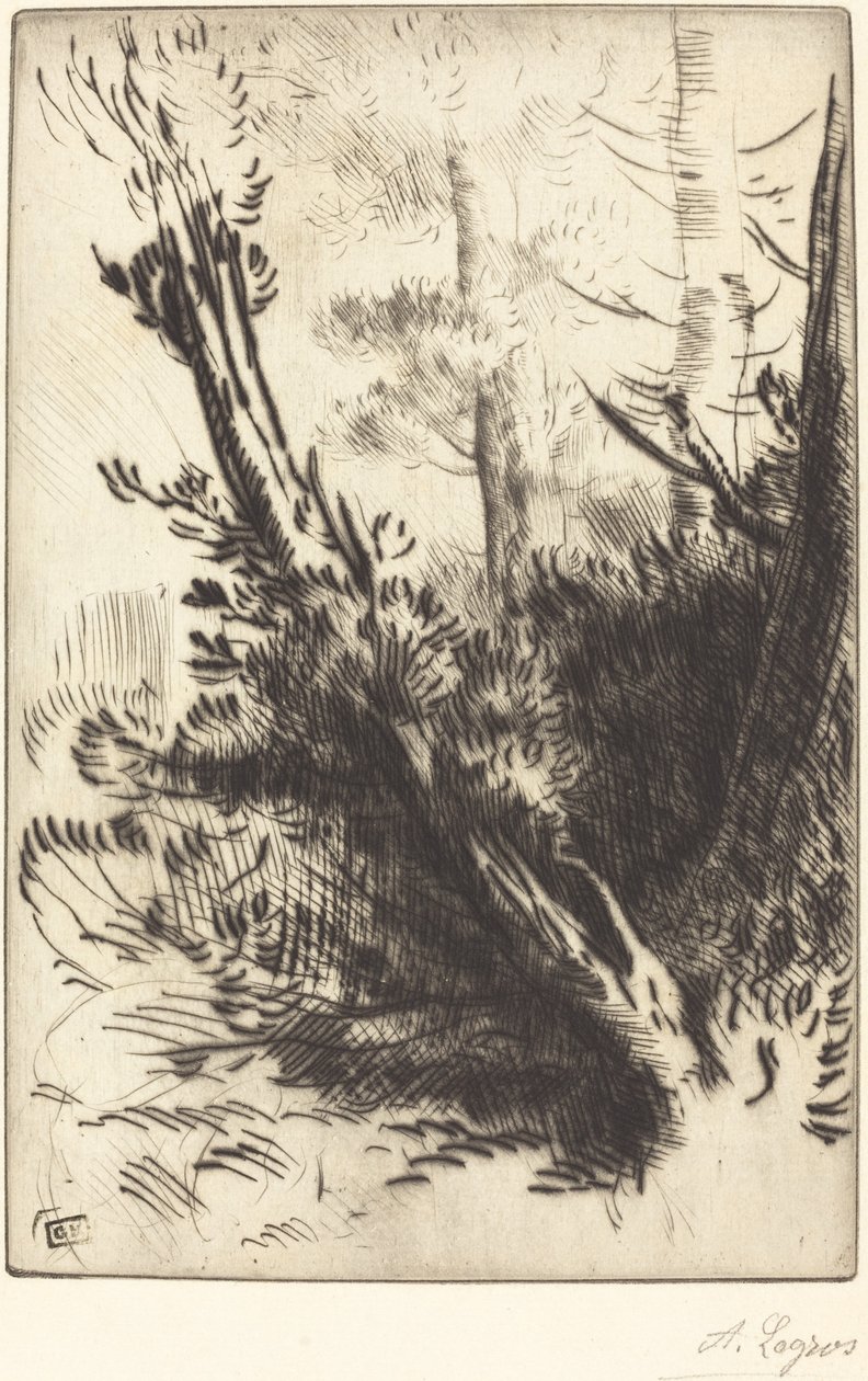 Dans les bois - Alphonse Legros