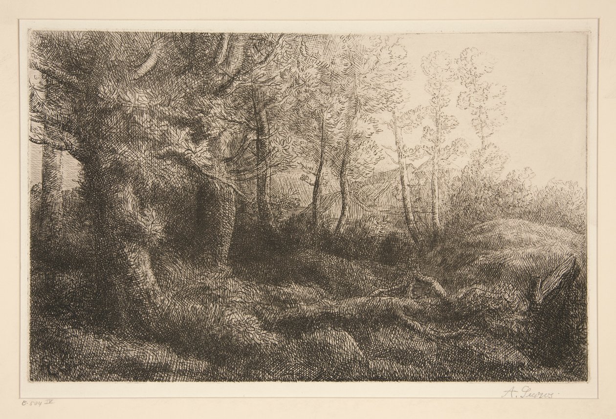 Lisière de forêt - Alphonse Legros
