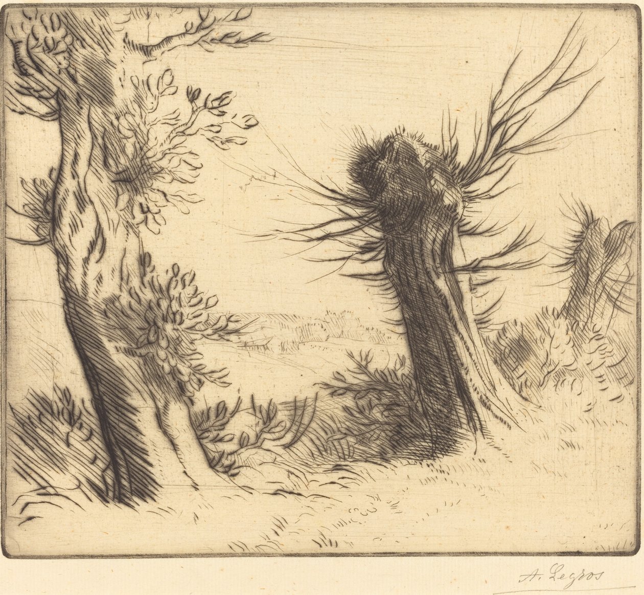 Les saules - Alphonse Legros