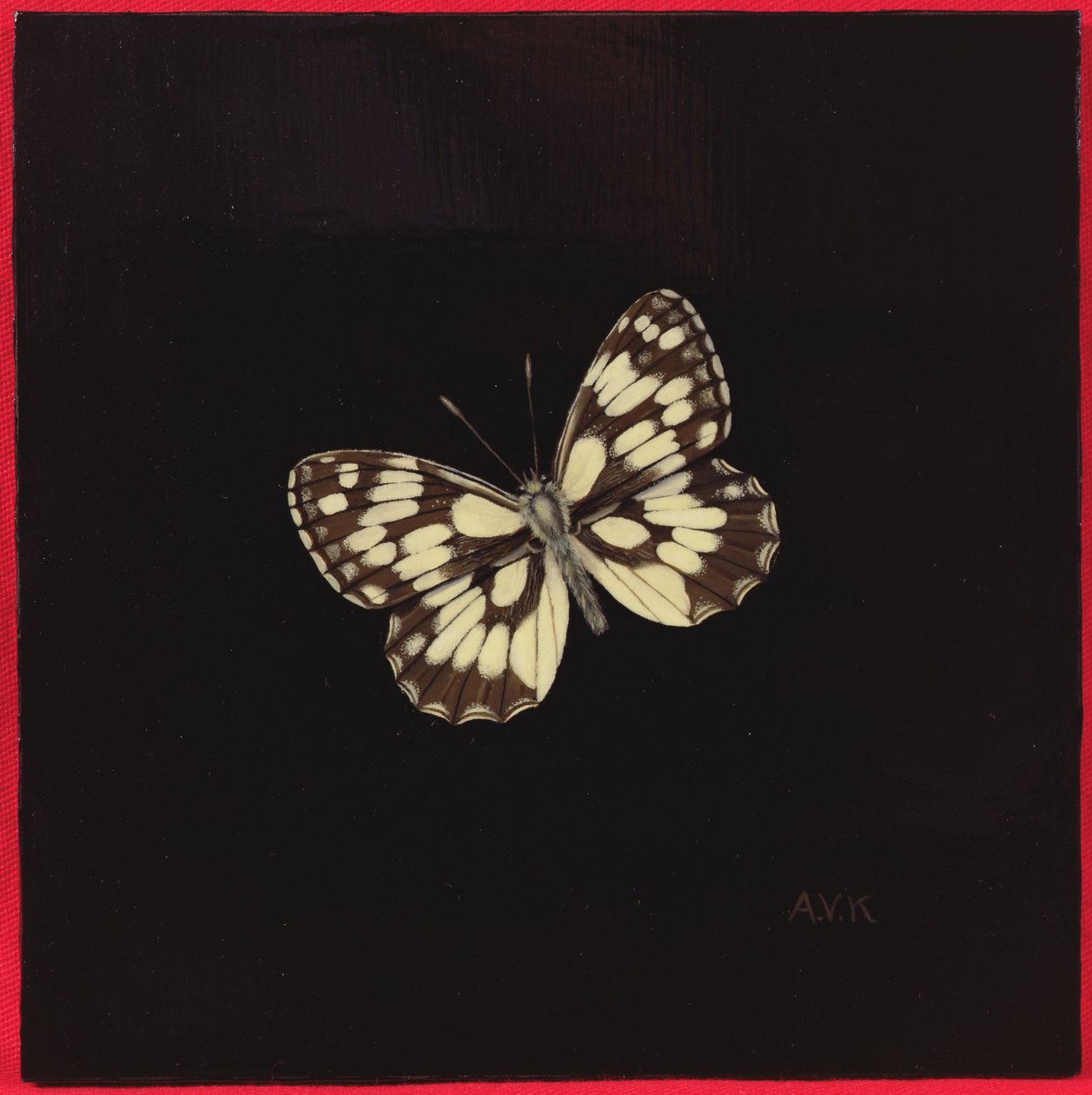 Papillon marbré, 2000 - Amelia Kleiser