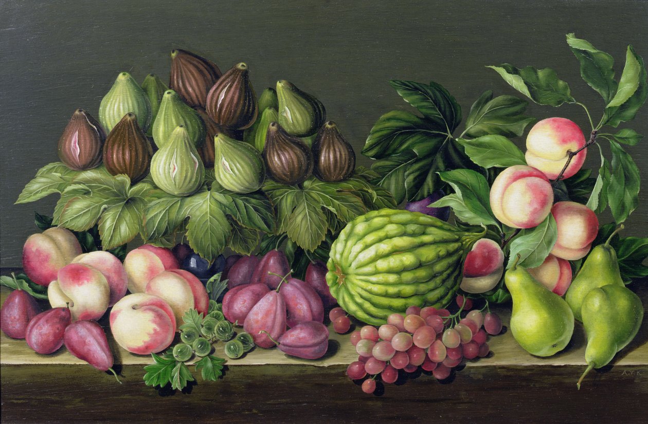 Figues, melon et groseilles, 1998 - Amelia Kleiser