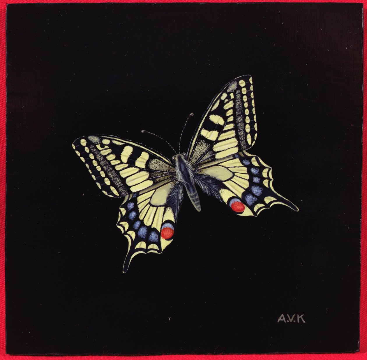 Machaon, 1999 - Amelia Kleiser