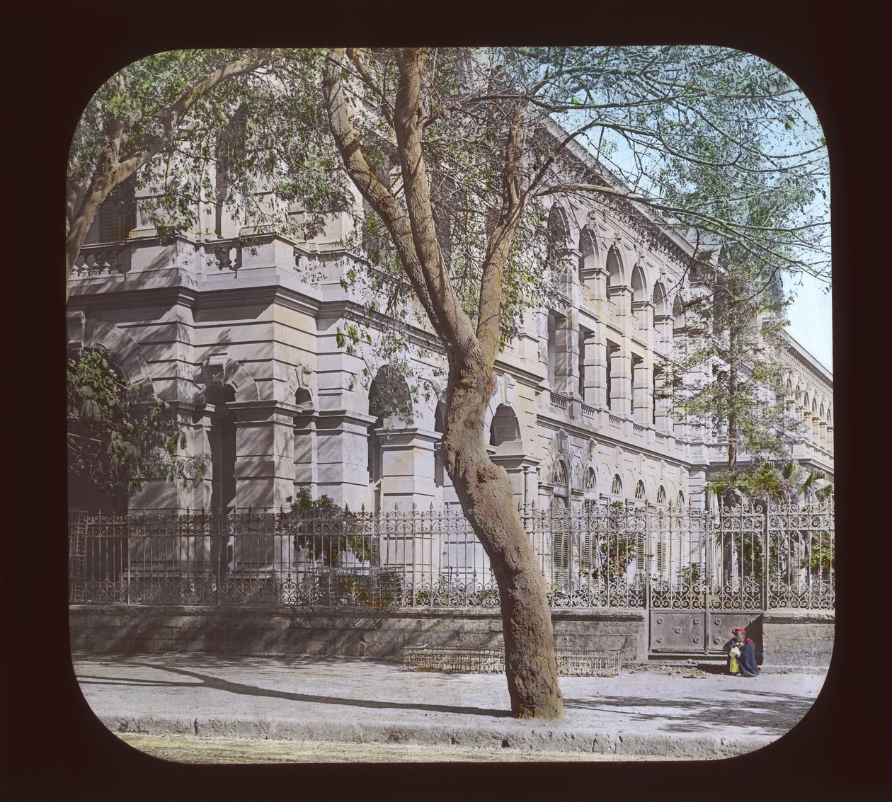 Égypte - Bédouins, Alexandrie - American Photographer