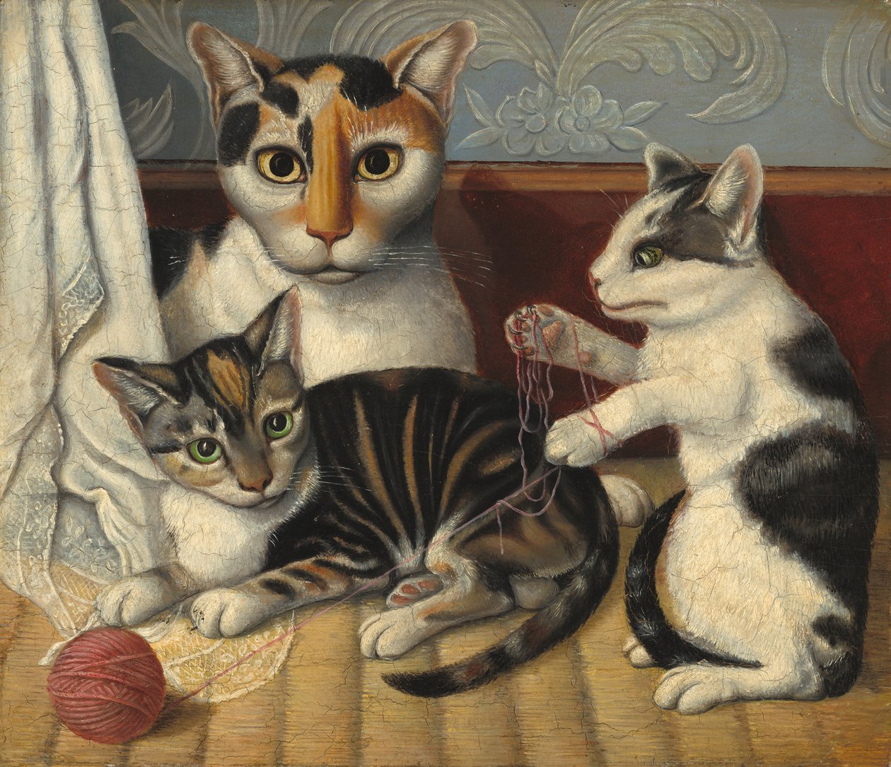Chat et chatons - American School