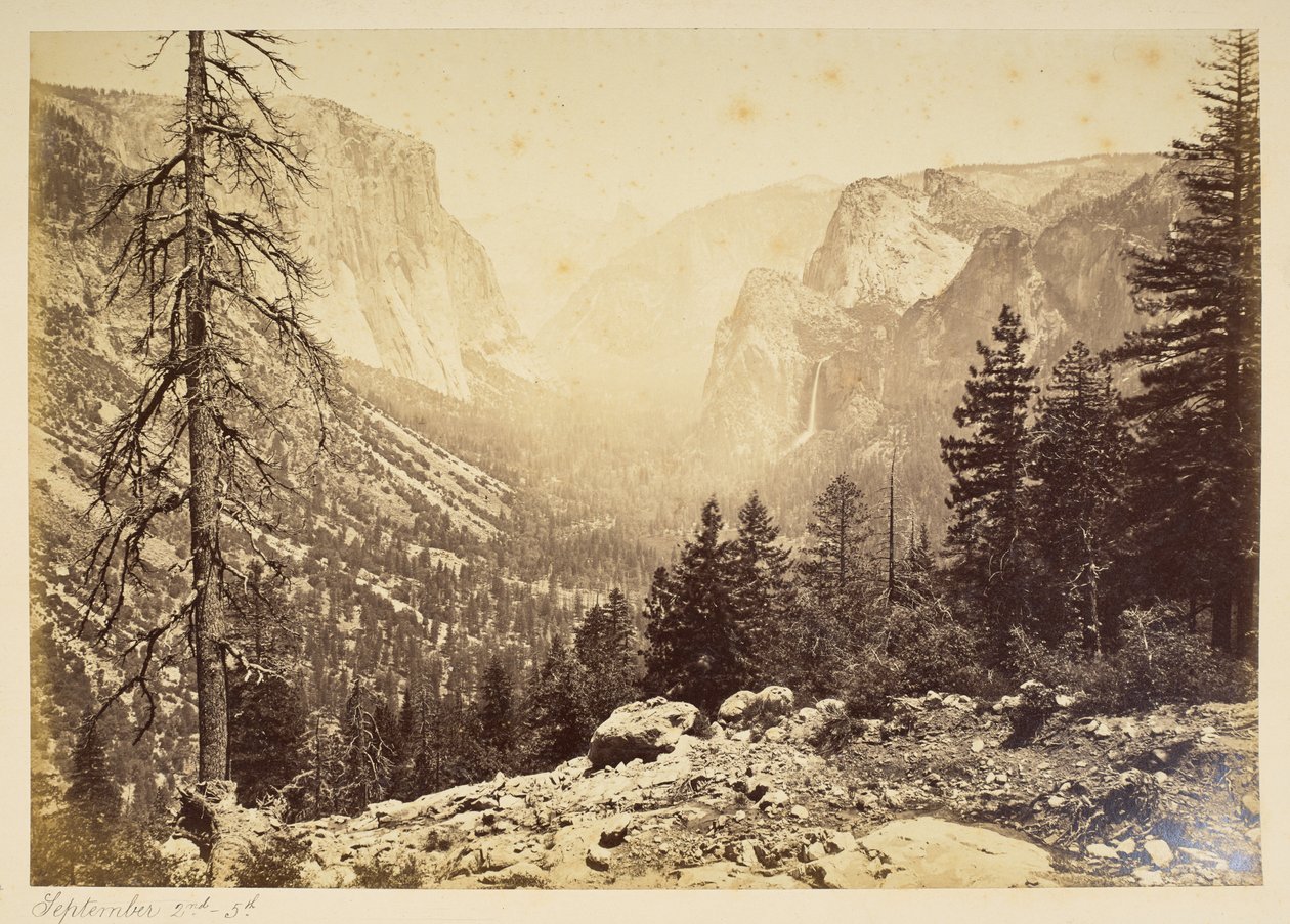 Vallée de Yosemite depuis Inspection Point - American Photographer
