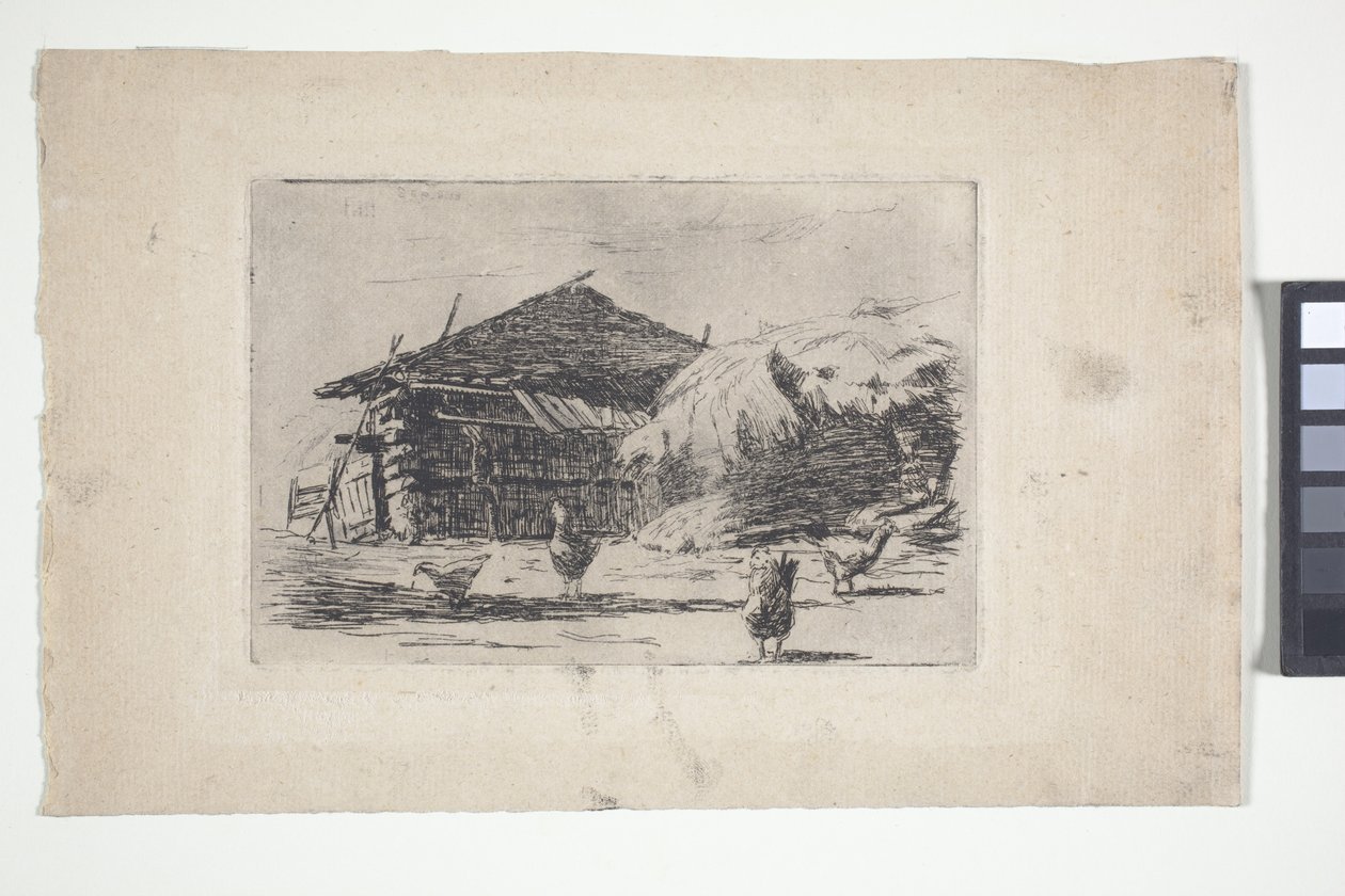Cour de ferme - American School