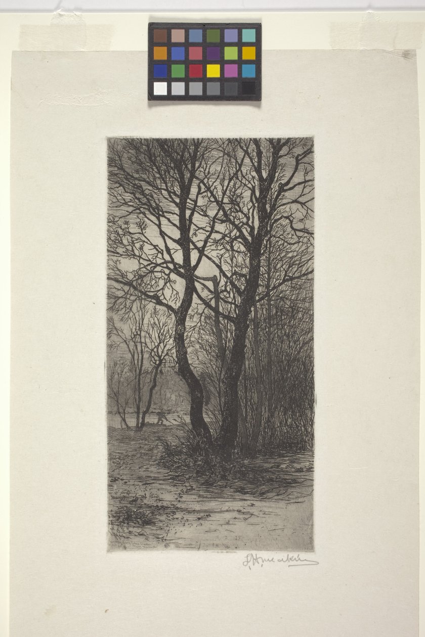 Jardin du palais de Nymphenburg, près de Munich - American School