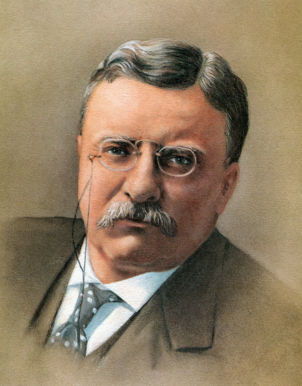 Theodore Roosevelt - American School