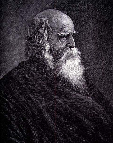 William Cullen Bryant (gravure) - American School