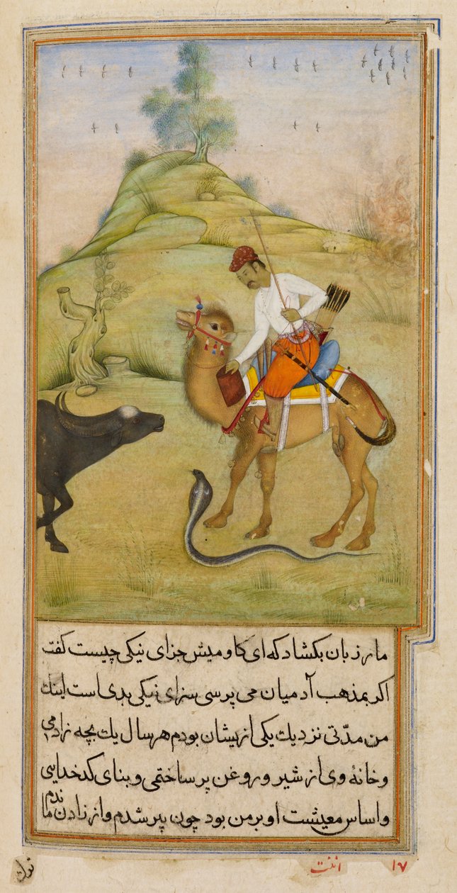 Le cavalier de chameau, illustration de 