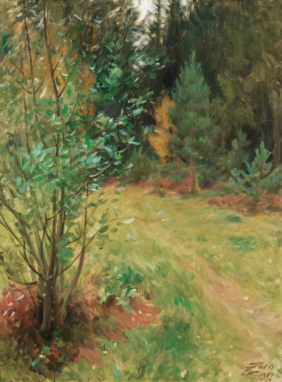 Paysage de Gopsmor - Anders Leonard Zorn