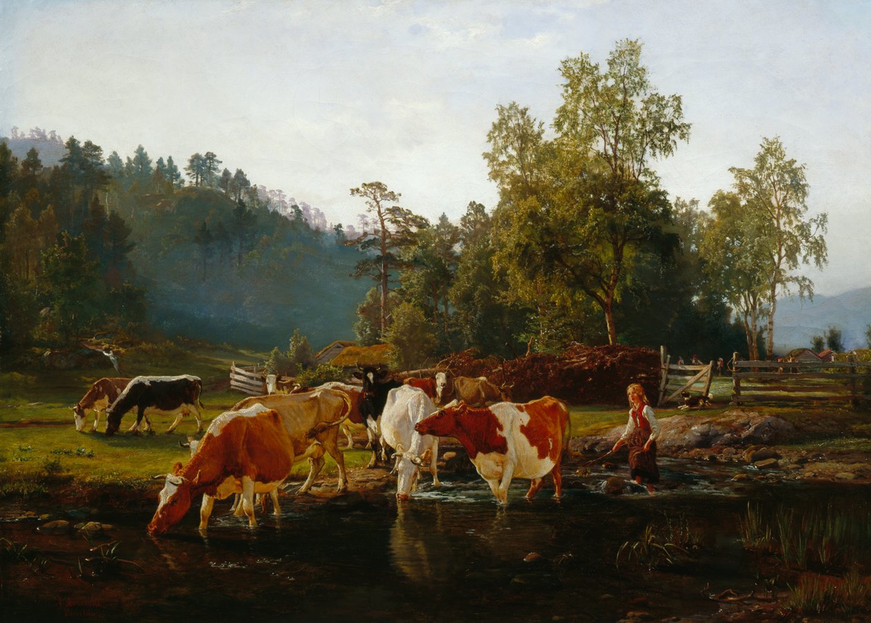 Vaches au bord de la rivière - Anders Askevold