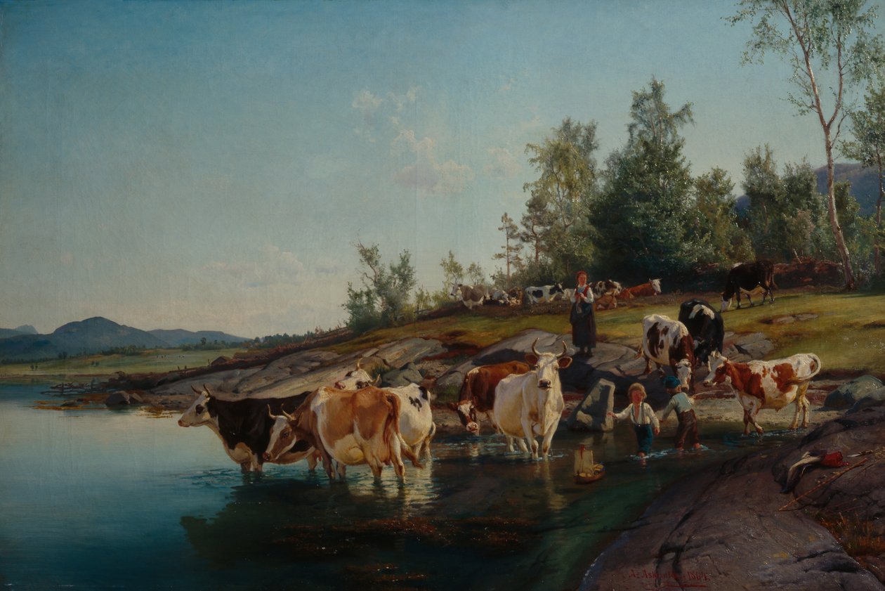 Vaches près de la mer - Anders Askevold