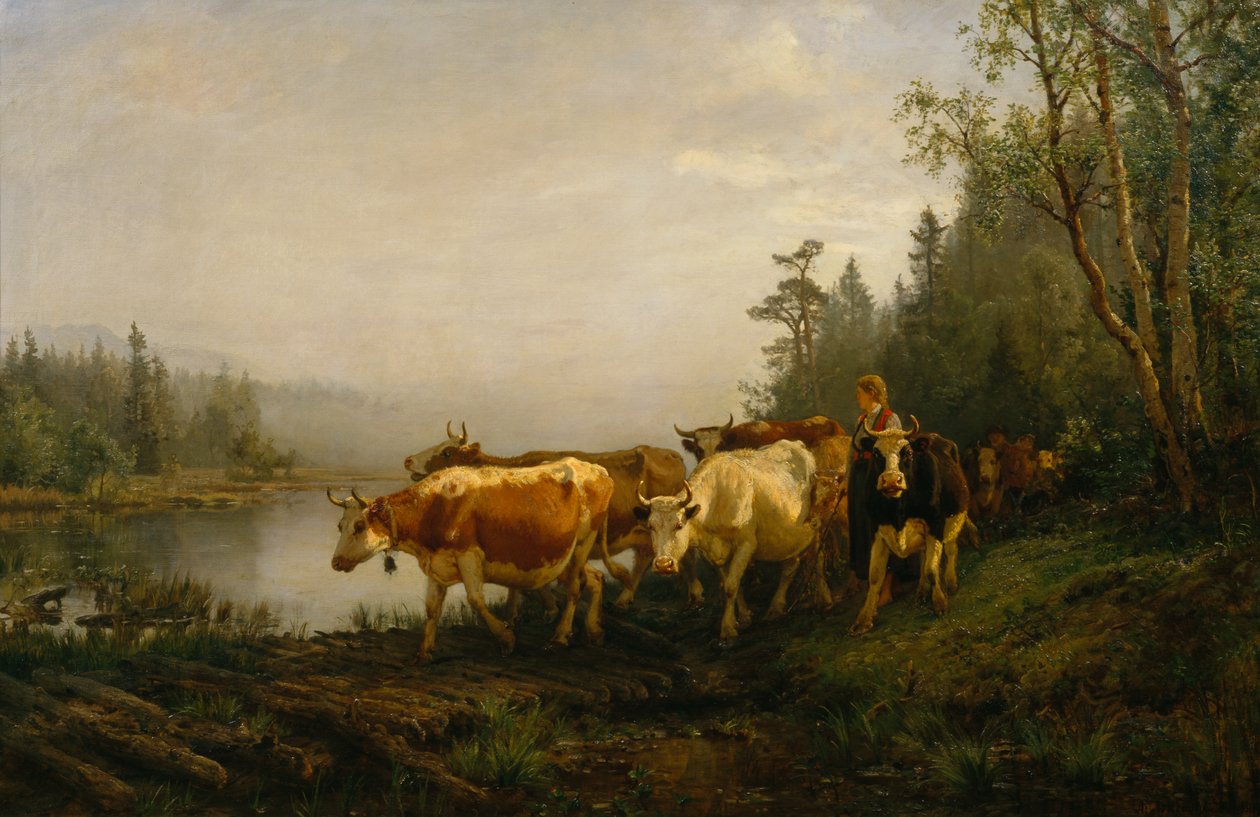 Laitière au bord du lac forestier - Anders Askevold