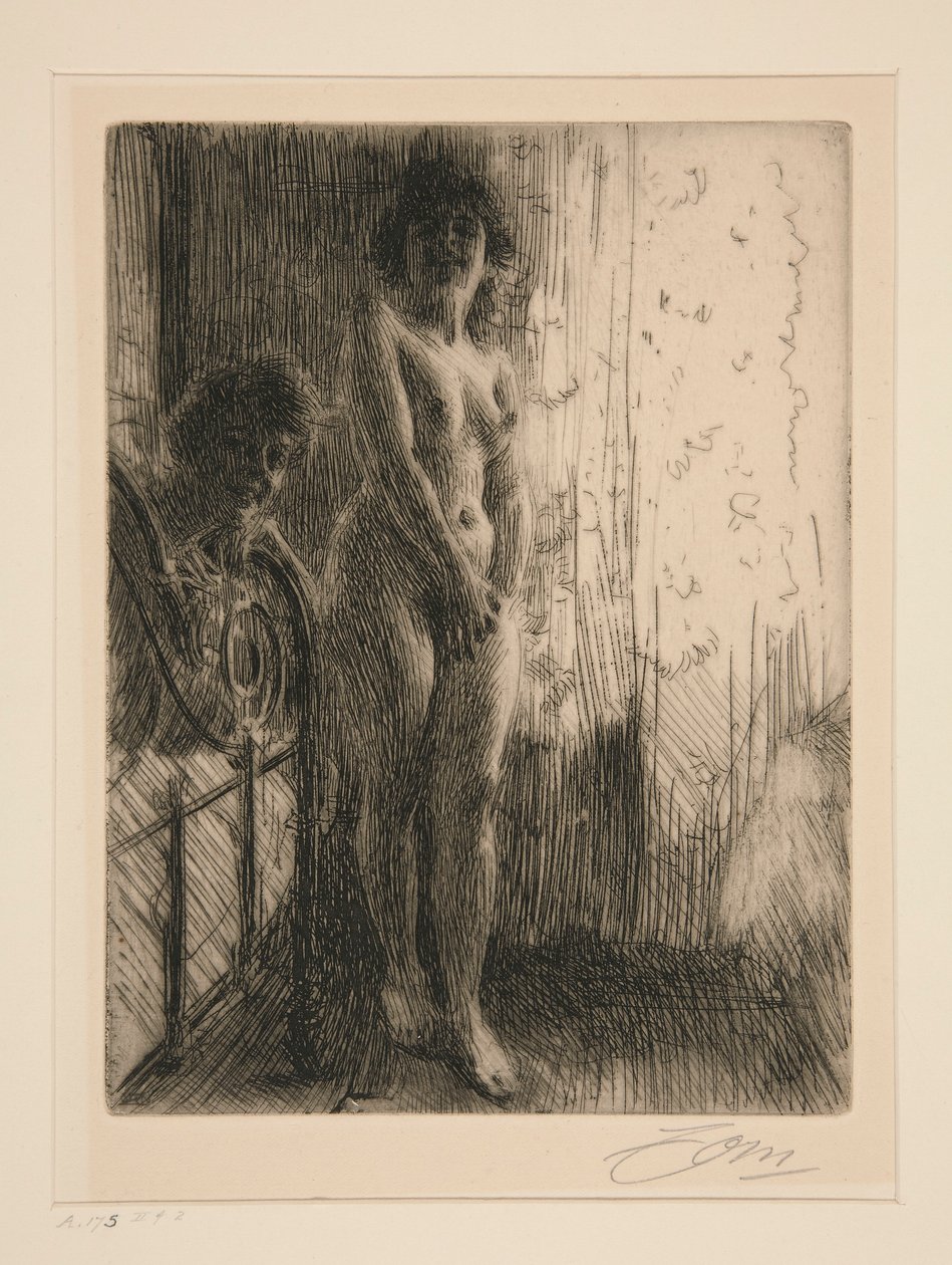 Un coin sombre - Anders Leonard Zorn