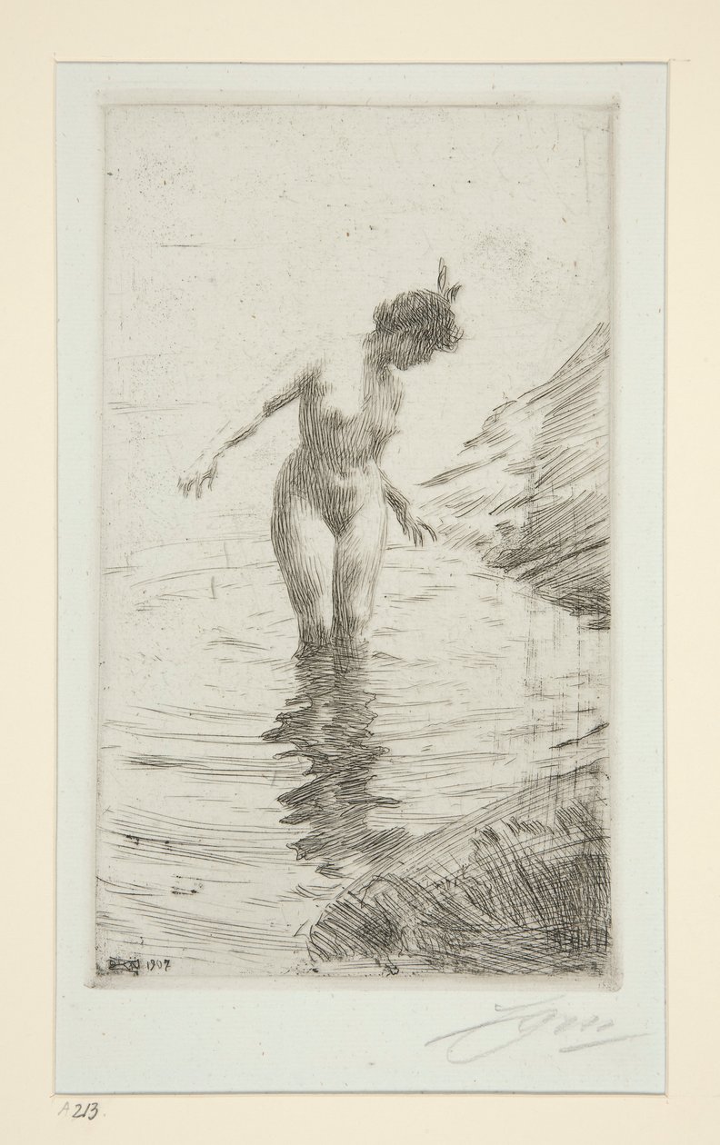 Cercles d - Anders Leonard Zorn