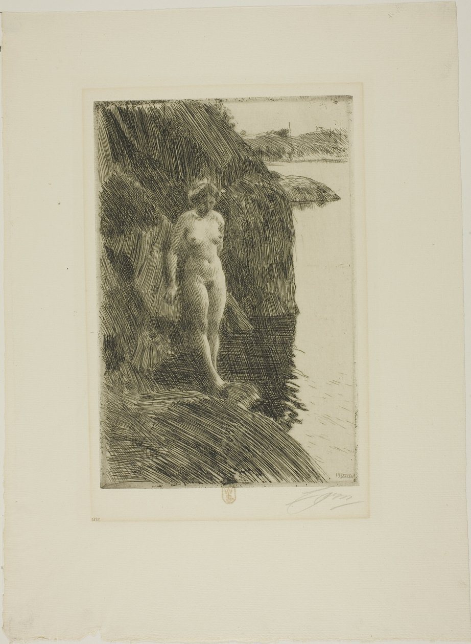 Précipice - Anders Leonard Zorn