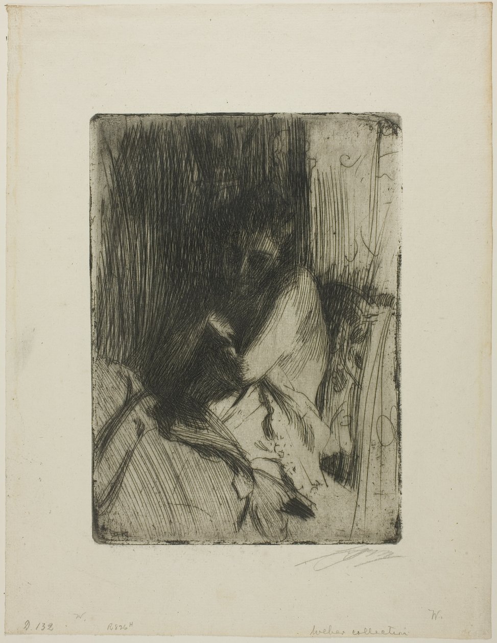 Surpris - Anders Leonard Zorn
